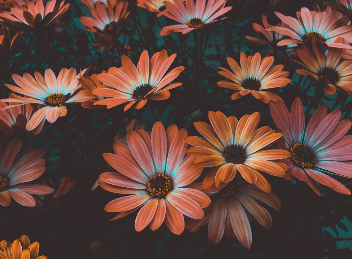 Arreglo floral