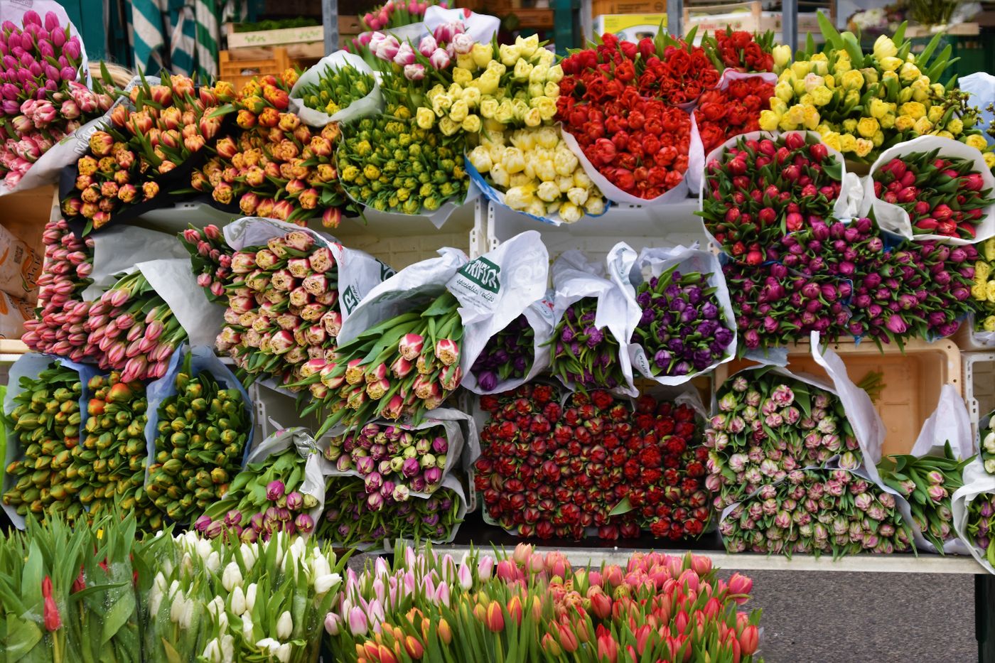 Persona trabajando con flores