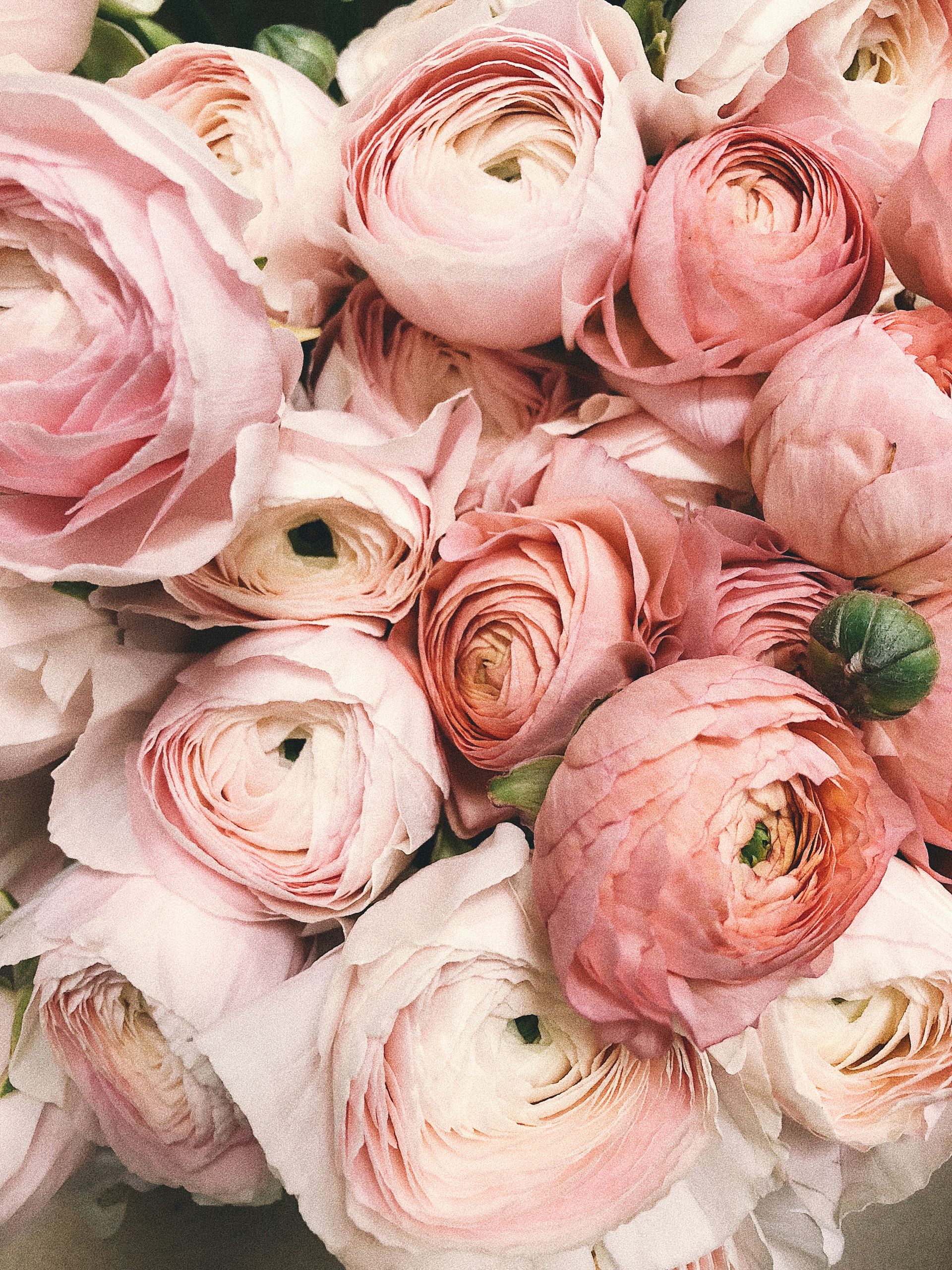 Ramo de rosas
